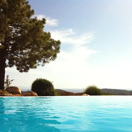 Ortolu * Monacia-d'Aullene