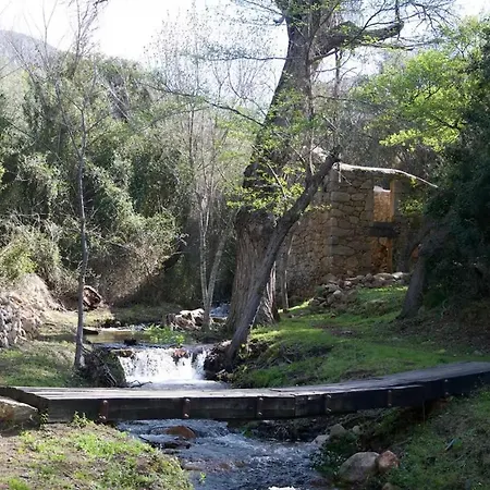 Ortolu * Monacia-d'Aullene