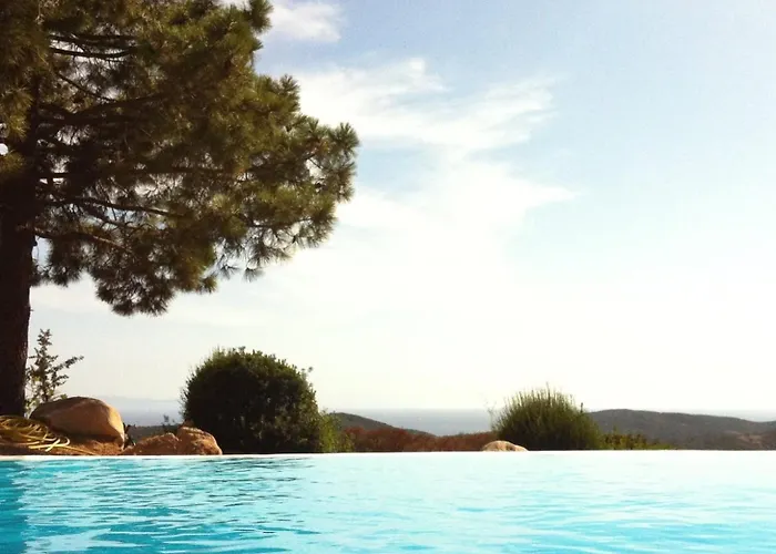 Ortolu * Monacia-d'Aullene