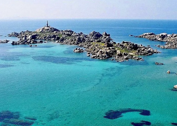 Ortolu Monacia-d'Aullene