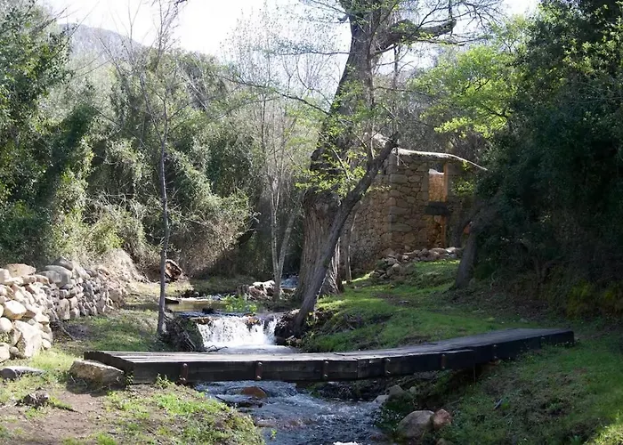 Ortolu * Monacia-d'Aullene